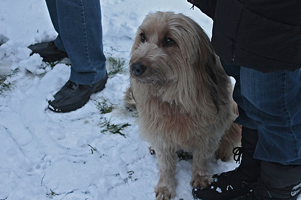 Bild 11